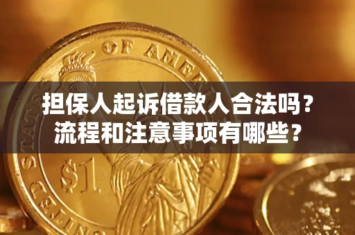 北京担保人起诉借款人合法吗？流程和注意事项有哪些？