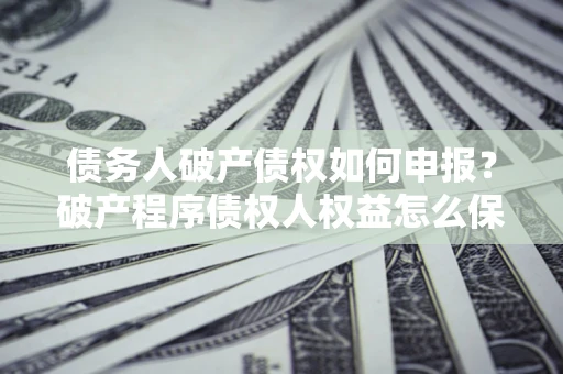 北京债务人破产债权如何申报？破产程序债权人权益怎么保障？