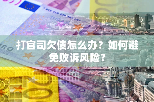 北京打官司欠债怎么办？如何避免败诉风险？