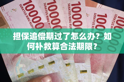 北京担保追偿期过了怎么办？如何补救算合法期限？