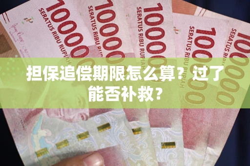 北京担保追偿期限怎么算？过了能否补救？